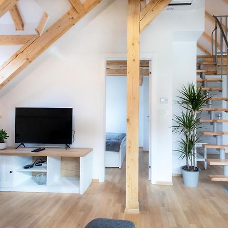 Bright & Spacious Loft In The Heart Of Old Town Lublaň Exteriér fotografie