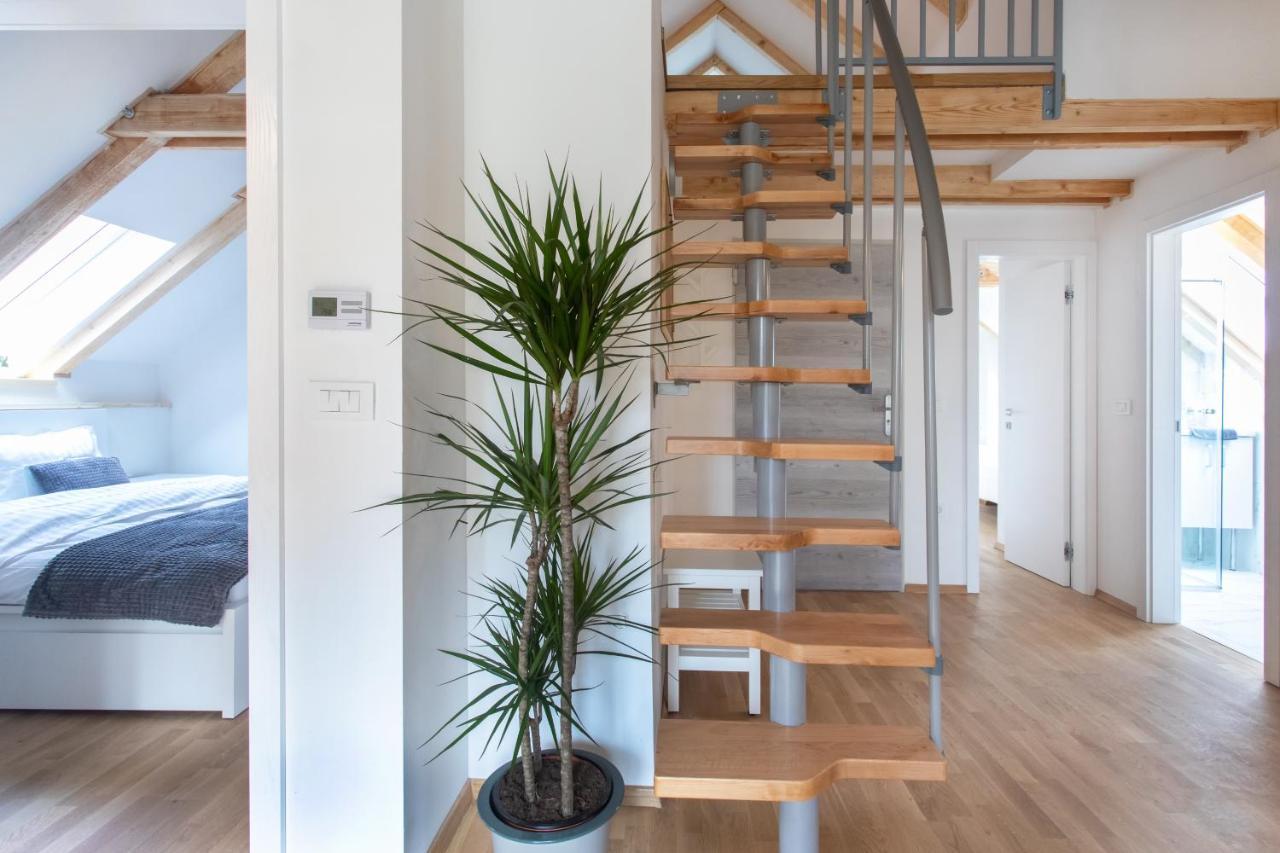 Bright & Spacious Loft In The Heart Of Old Town Lublaň Exteriér fotografie